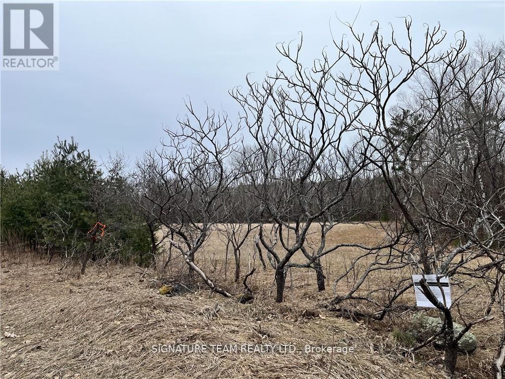 0 Grant Settlement Road, Whitewater Region, Ontario  K0J 1V0 - Photo 7 - X12604654