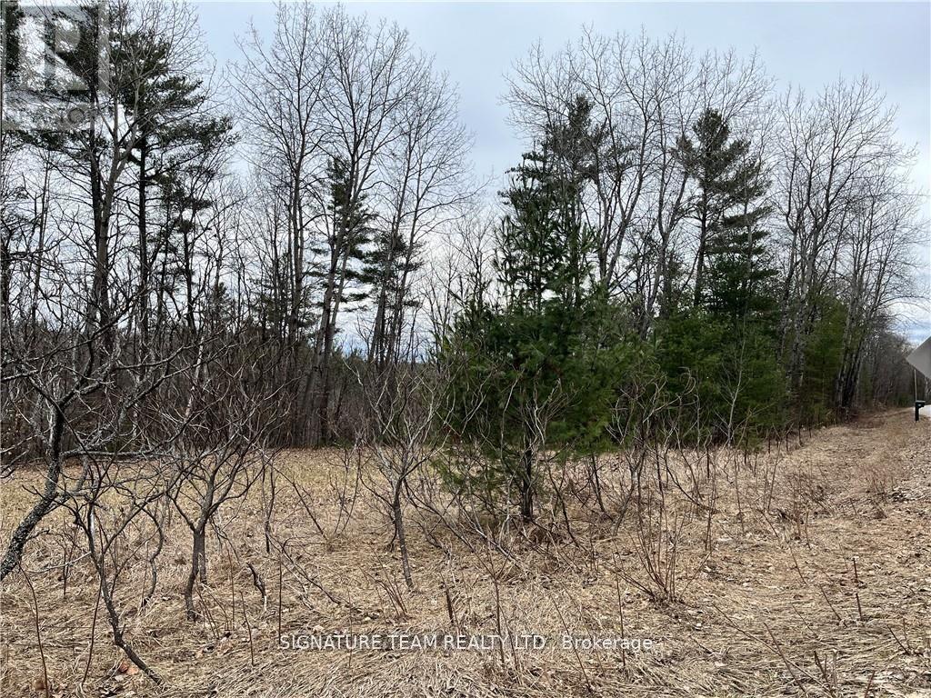 0 Grant Settlement Road, Whitewater Region, Ontario  K0J 1V0 - Photo 8 - X12604654