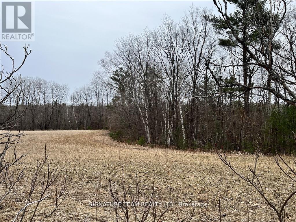 0 Grant Settlement Road, Whitewater Region, Ontario  K0J 1V0 - Photo 9 - X12604654