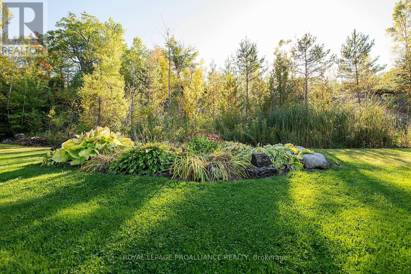 31 Nobes Road, Quinte West, Ontario  K0K 2C0 - Photo 35 - X12604198