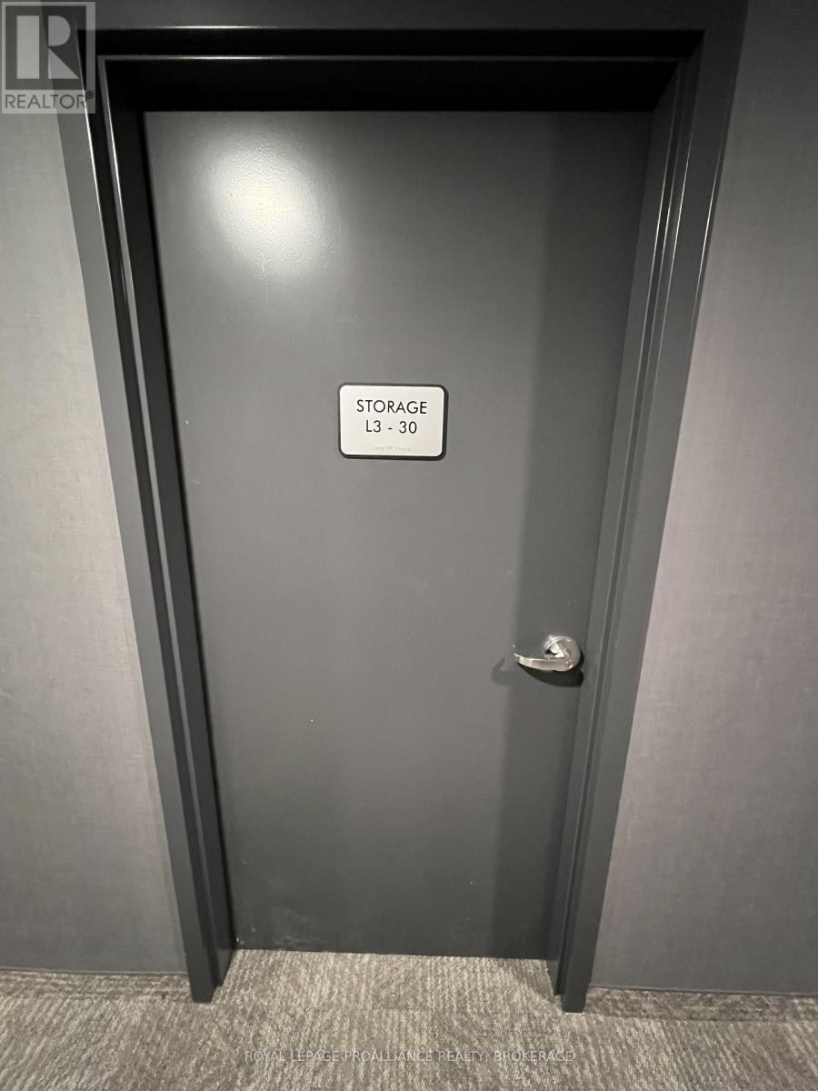 304 - 223 Princess Street, Kingston, Ontario  K7L 0G8 - Photo 30 - X12604716