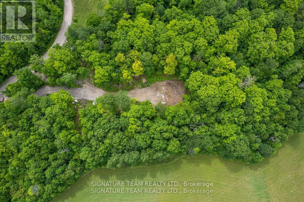 90 Broome Road S, Whitewater Region, Ontario  K0J 1V0 - Photo 15 - X12604700