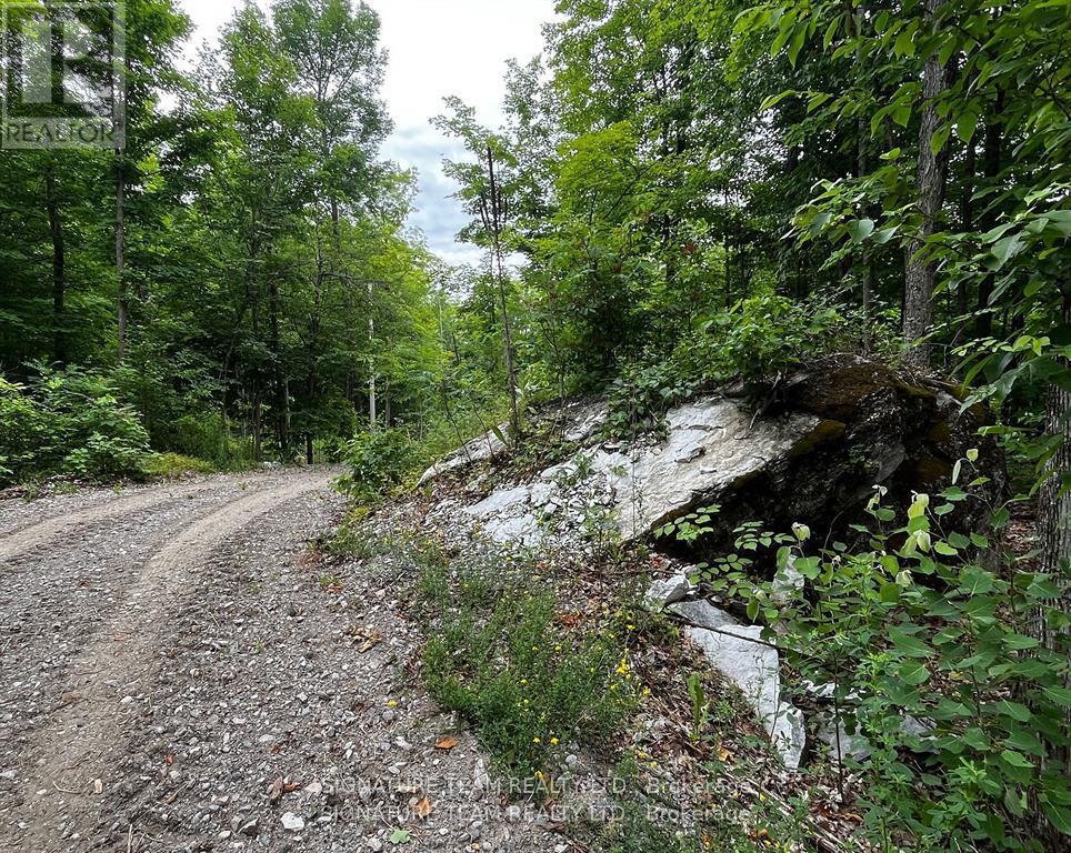 90 Broome Road S, Whitewater Region, Ontario  K0J 1V0 - Photo 3 - X12604700