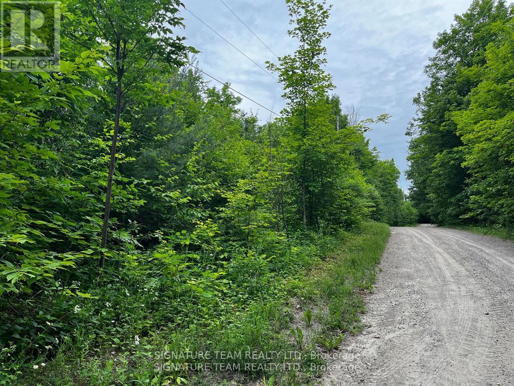 90 Broome Road S, Whitewater Region, Ontario  K0J 1V0 - Photo 4 - X12604700