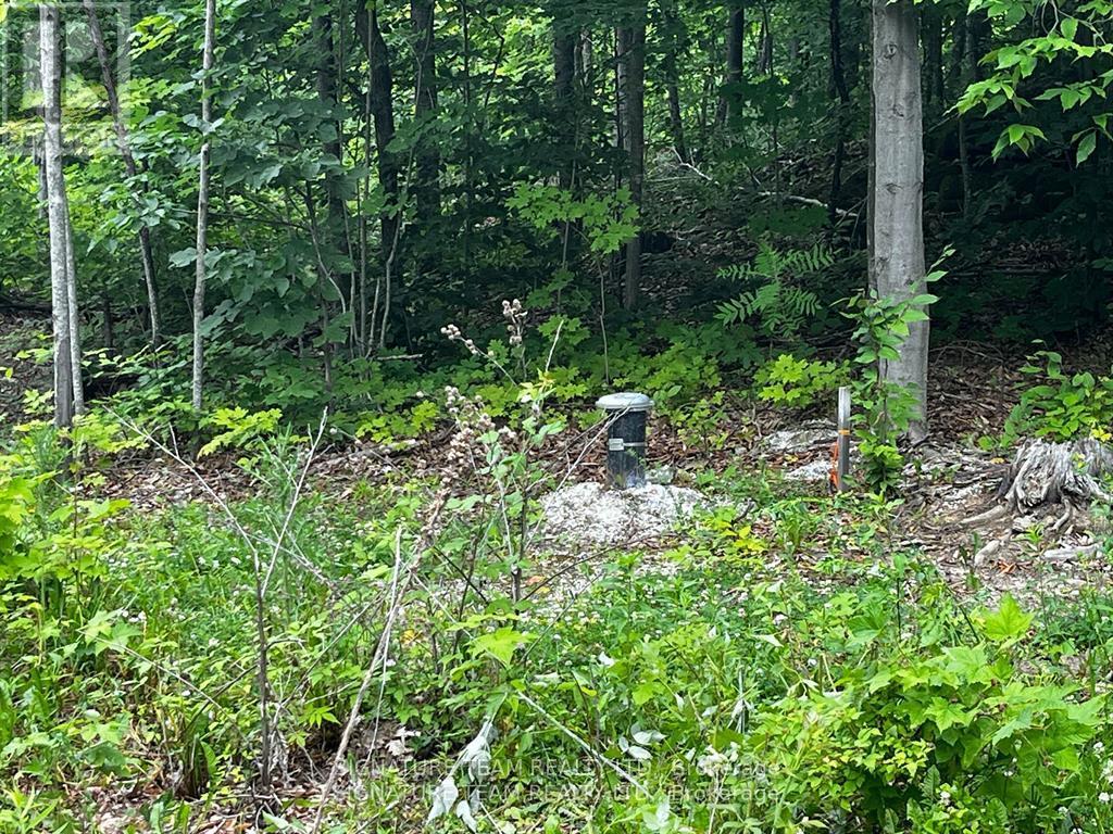 90 Broome Road S, Whitewater Region, Ontario  K0J 1V0 - Photo 5 - X12604700