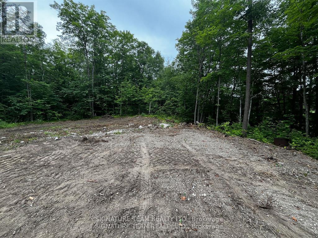 90 Broome Road S, Whitewater Region, Ontario  K0J 1V0 - Photo 7 - X12604700