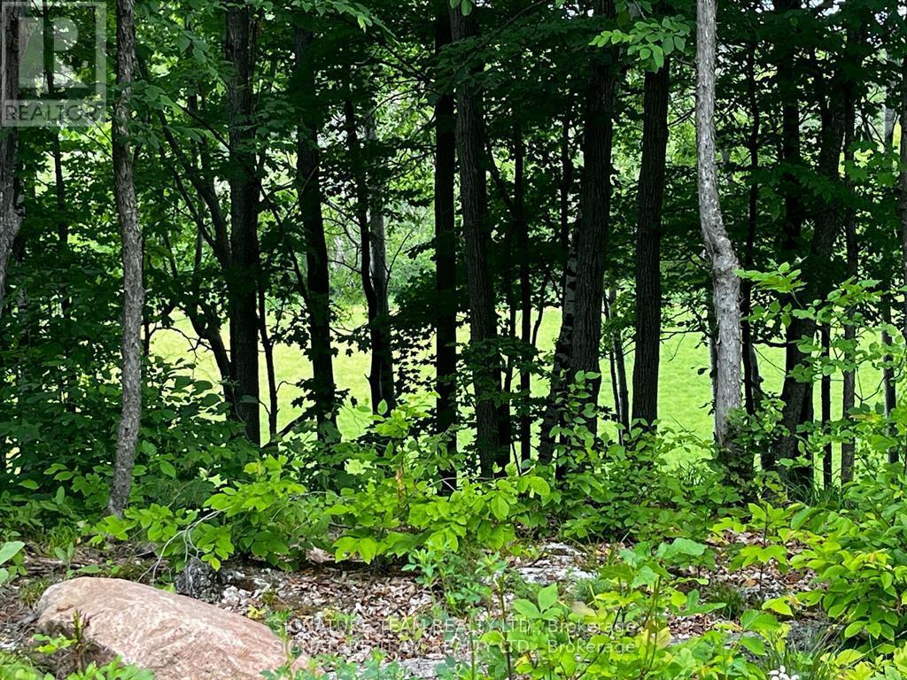 90 Broome Road S, Whitewater Region, Ontario  K0J 1V0 - Photo 8 - X12604700