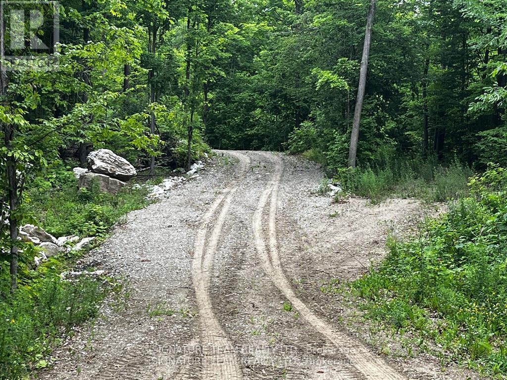 90 Broome Road S, Whitewater Region, Ontario  K0J 1V0 - Photo 9 - X12604700