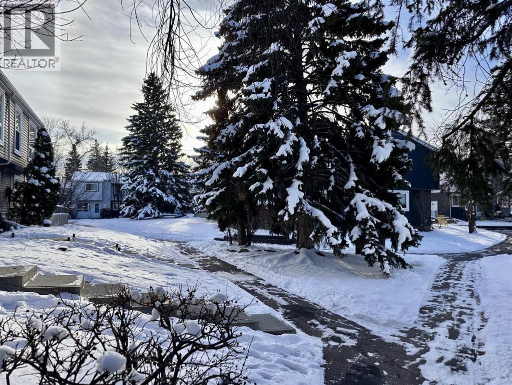 8, 11407 Braniff Road Sw, Calgary, Alberta  T2W 1C5 - Photo 50 - A2252659