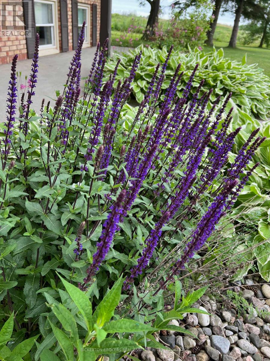 108 Russell Road N, Front Of Leeds & Seeleys Bay, Ontario  K0E 1L0 - Photo 43 - X12604858