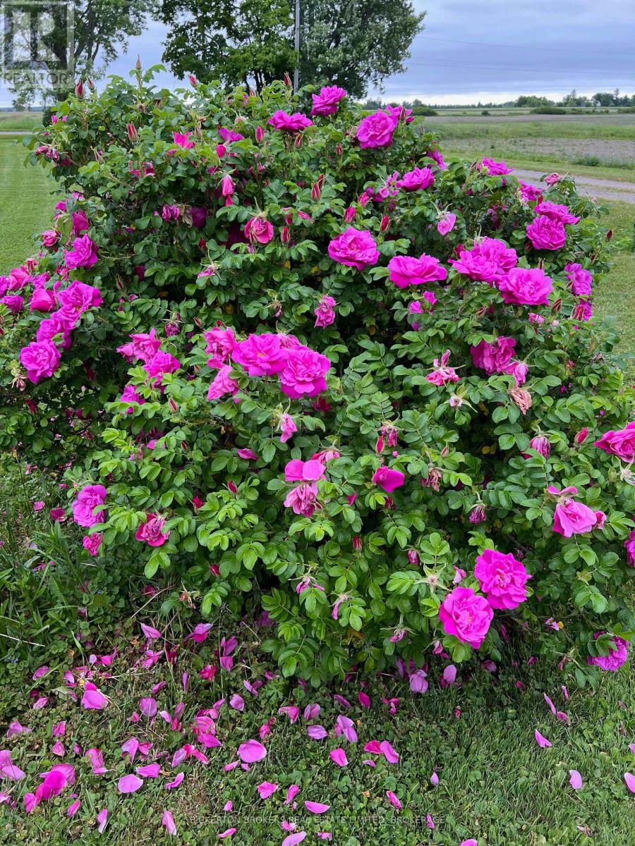 108 Russell Road N, Front Of Leeds & Seeleys Bay, Ontario  K0E 1L0 - Photo 44 - X12604858