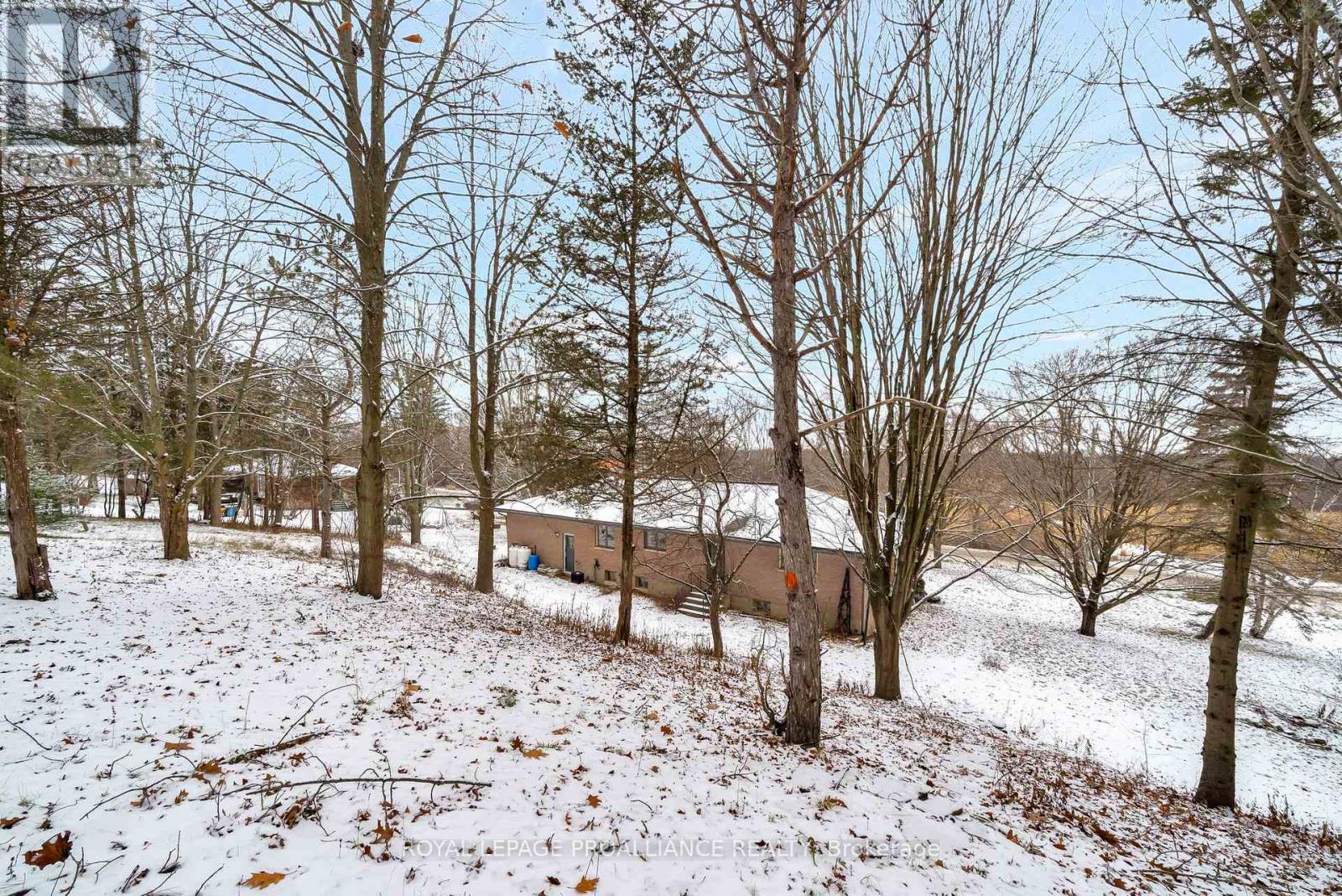 1237 Victoria Road, Prince Edward County, Ontario  K0K 1A0 - Photo 39 - X12604910