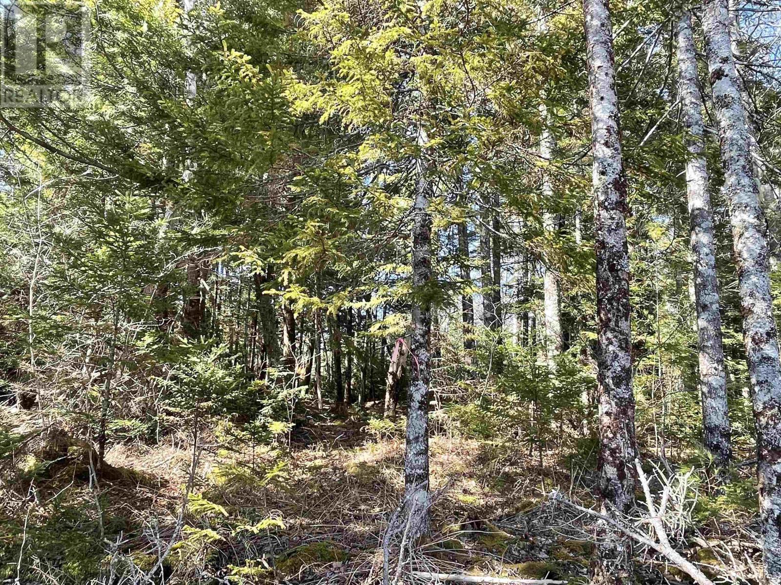 Lot 3 Lapland Road, Lapland, Nova Scotia  B4V 7V1 - Photo 12 - 202400239