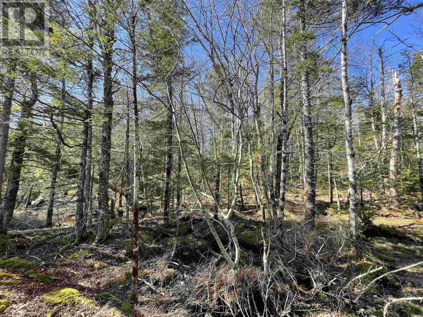 Lot 3 Lapland Road, Lapland, Nova Scotia  B4V 7V1 - Photo 10 - 202400239