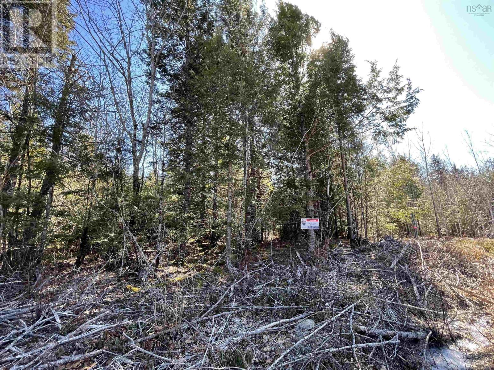 Lot 3 Lapland Road, Lapland, Nova Scotia  B4V 7V1 - Photo 11 - 202400239