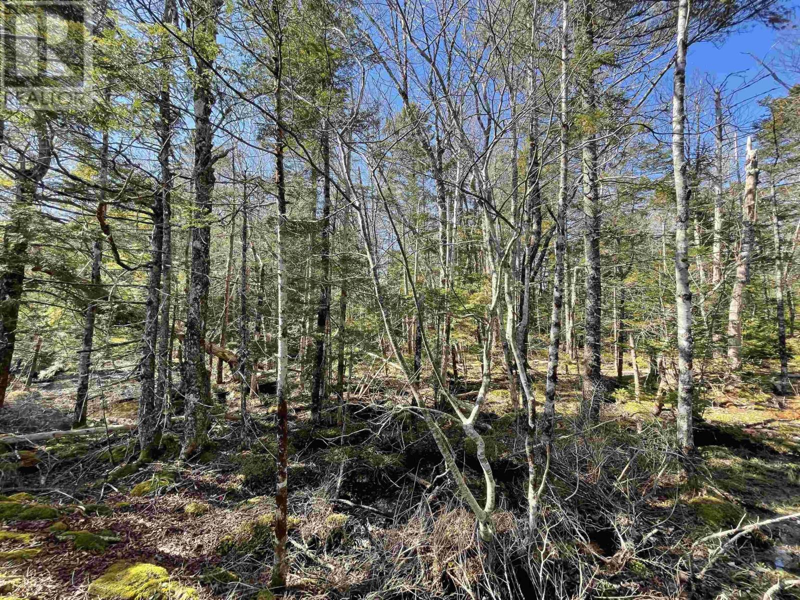 Lot 3 Lapland Road, Lapland, Nova Scotia  B4V 7V1 - Photo 13 - 202400239