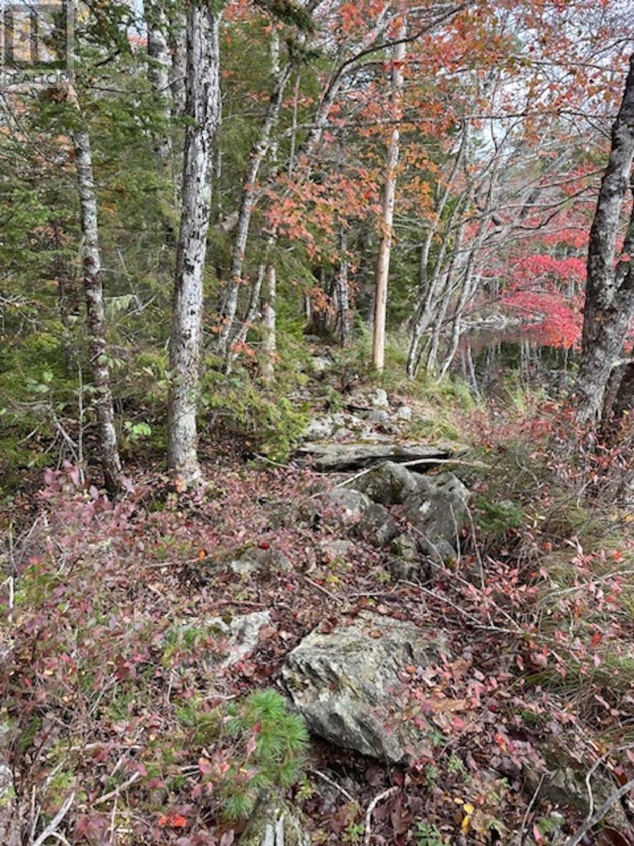 Lot 3 Lapland Road, Lapland, Nova Scotia  B4V 7V1 - Photo 23 - 202400239
