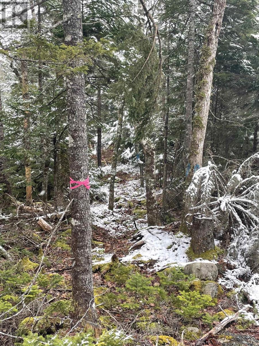 Lot 3 Lapland Road, Lapland, Nova Scotia  B4V 7V1 - Photo 26 - 202400239