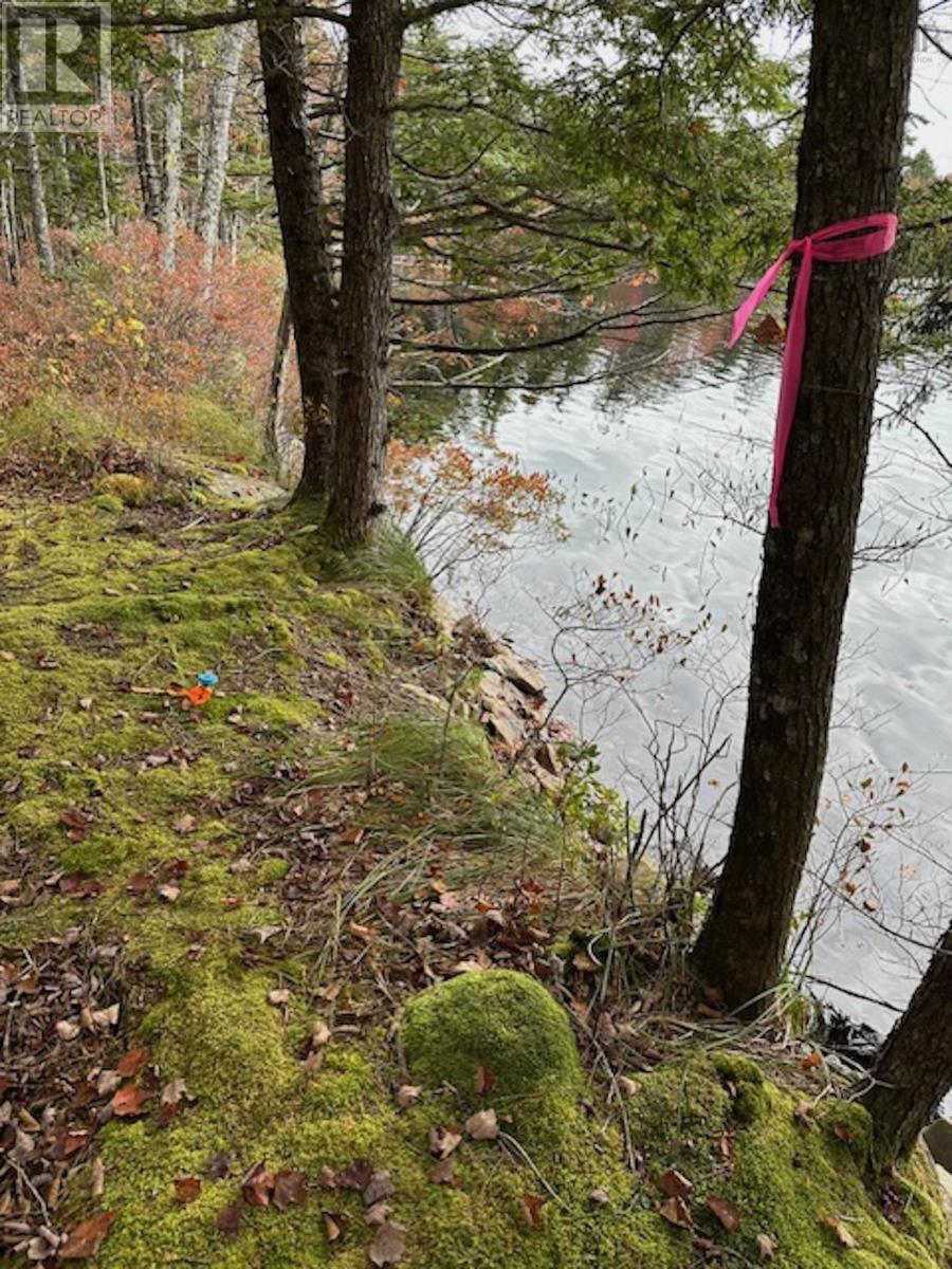 Lot 3 Lapland Road, Lapland, Nova Scotia  B4V 7V1 - Photo 21 - 202400239