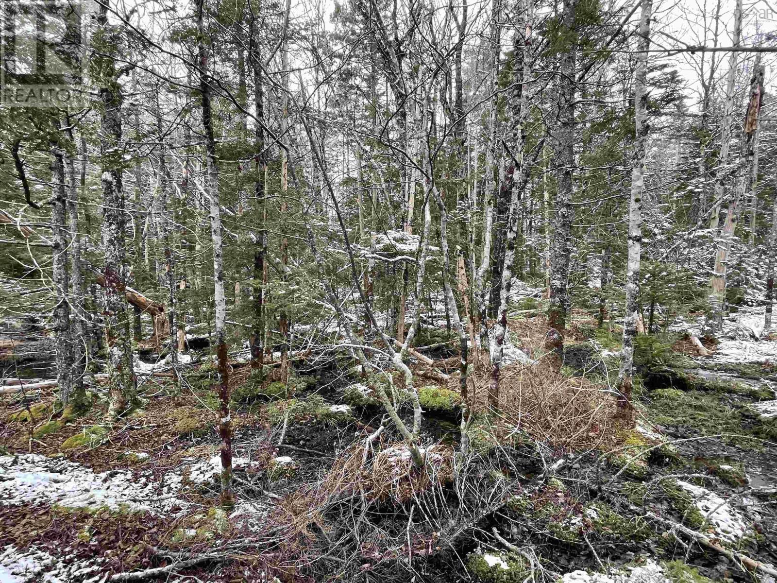 Lot 3 Lapland Road, Lapland, Nova Scotia  B4V 7V1 - Photo 28 - 202400239