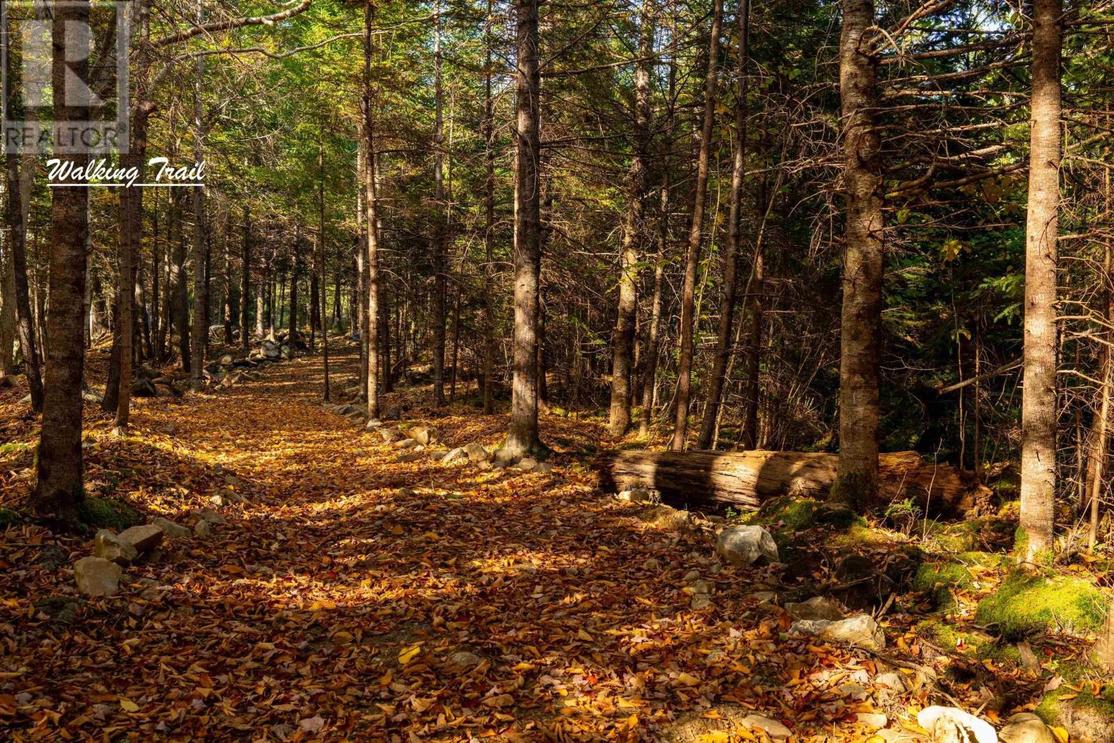 Lot 12 Croft Road, Chester Basin, Nova Scotia  B0J 1K0 - Photo 13 - 202529112