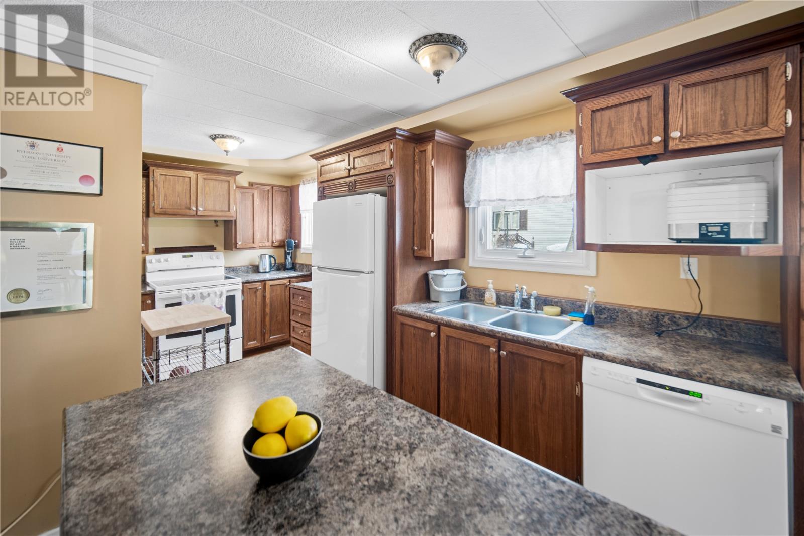 8 Green Street, St. John's, Newfoundland & Labrador  A1A 4Z4 - Photo 23 - 1293128