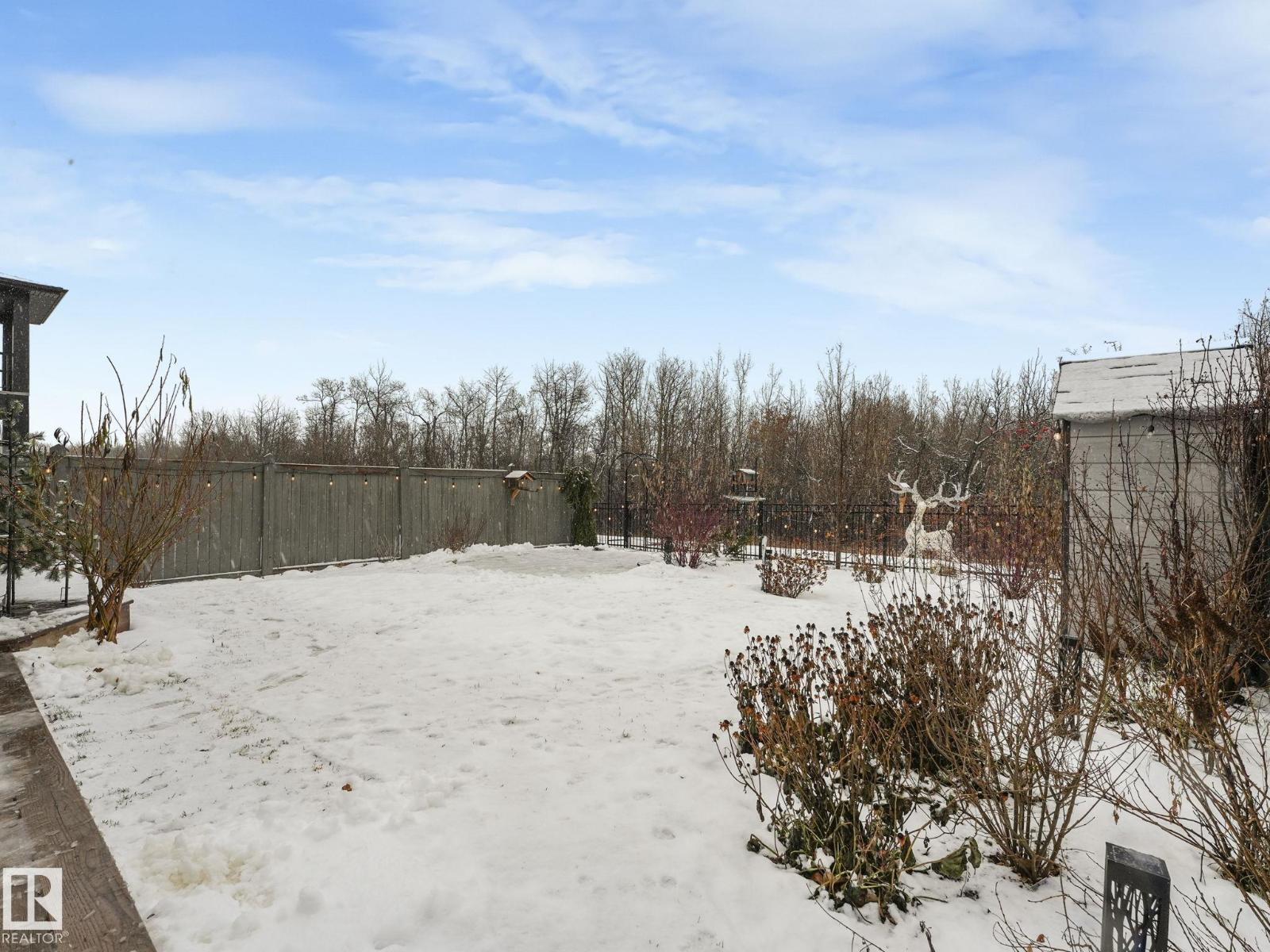 20431 128 Av Nw, Edmonton, Alberta  T5S 0N4 - Photo 3 - E4466350