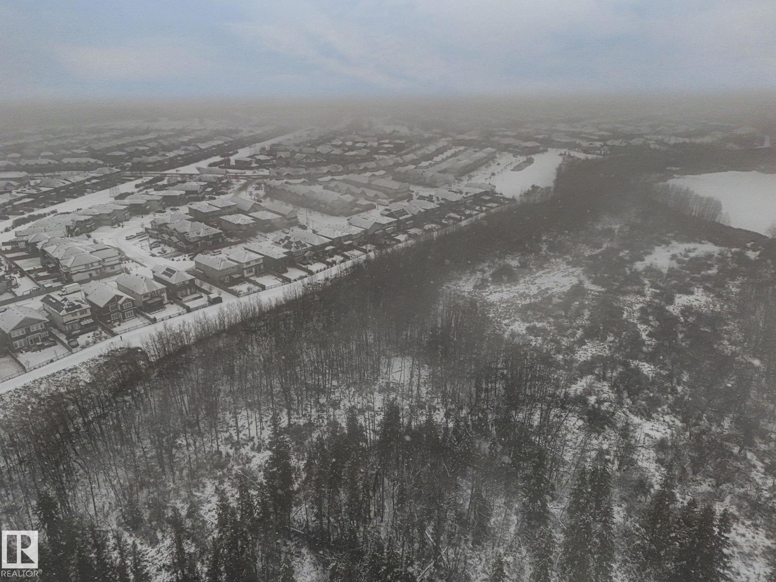 20431 128 Av Nw, Edmonton, Alberta  T5S 0N4 - Photo 15 - E4466350