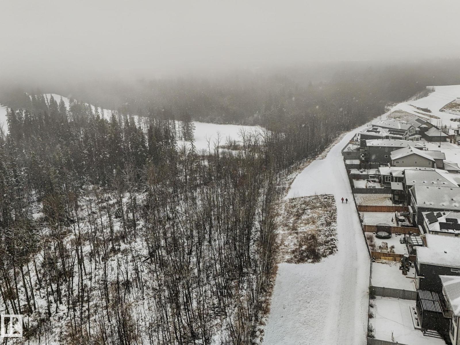 20431 128 Av Nw, Edmonton, Alberta  T5S 0N4 - Photo 14 - E4466350