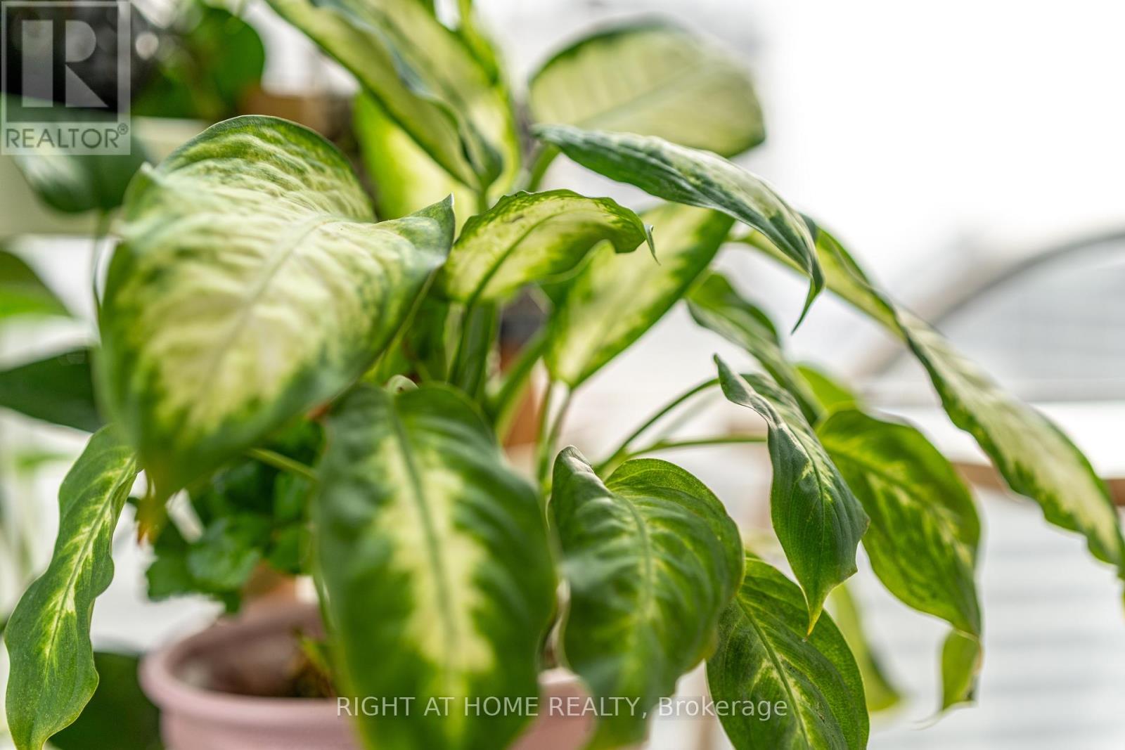 1806 - 33 Helendale Avenue, Toronto, Ontario  M4R 0A4 - Photo 4 - C12605250