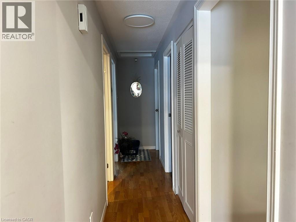 62 Lewis Crescent, Kitchener, Ontario  N2A 2T6 - Photo 6 - 40792443