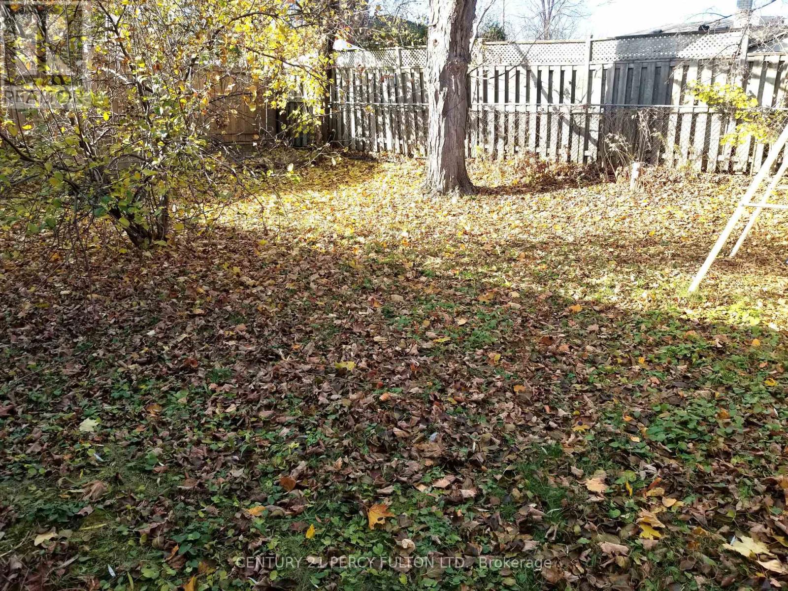 Basement-2 - 182 Confederation Drive, Toronto, Ontario  M1G 1B1 - Photo 5 - E12605120