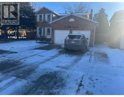 Bsmt - 19 Hall Crescent, Brampton (Northwood Park), Ca