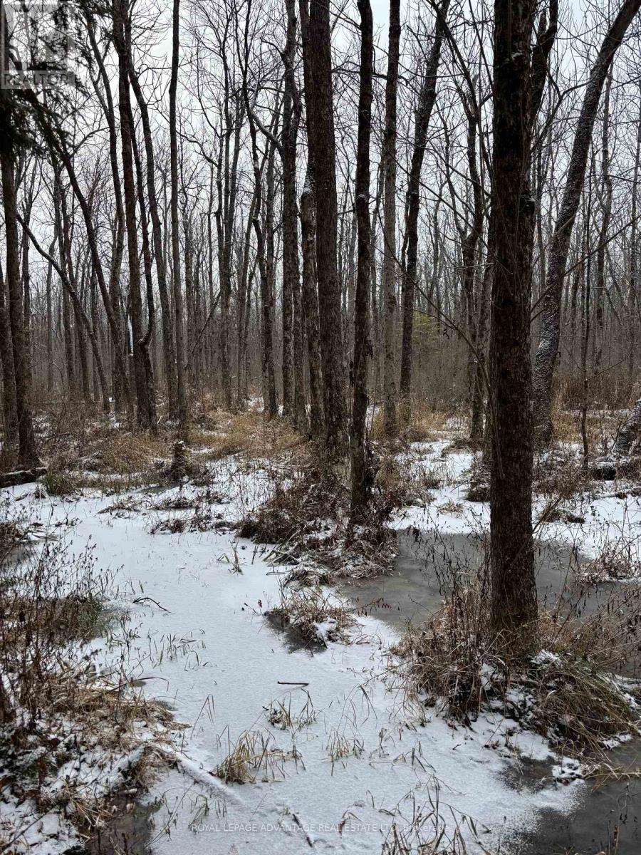 0 Wolford Centre Road, Merrickville-Wolford, Ontario  K0G 1N0 - Photo 1 - X12605320