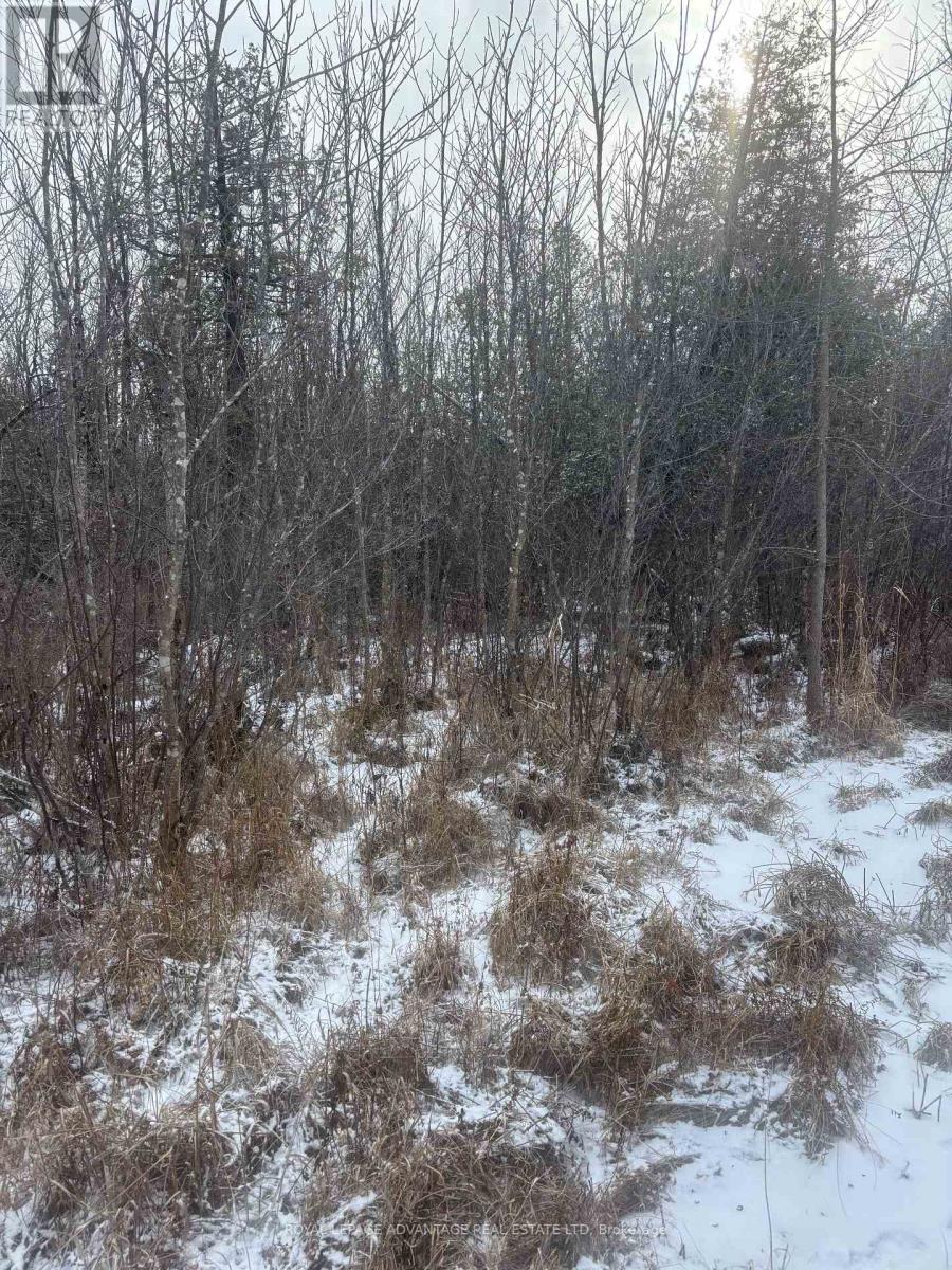 0 Wolford Centre Road, Merrickville-Wolford, Ontario  K0G 1N0 - Photo 10 - X12605320