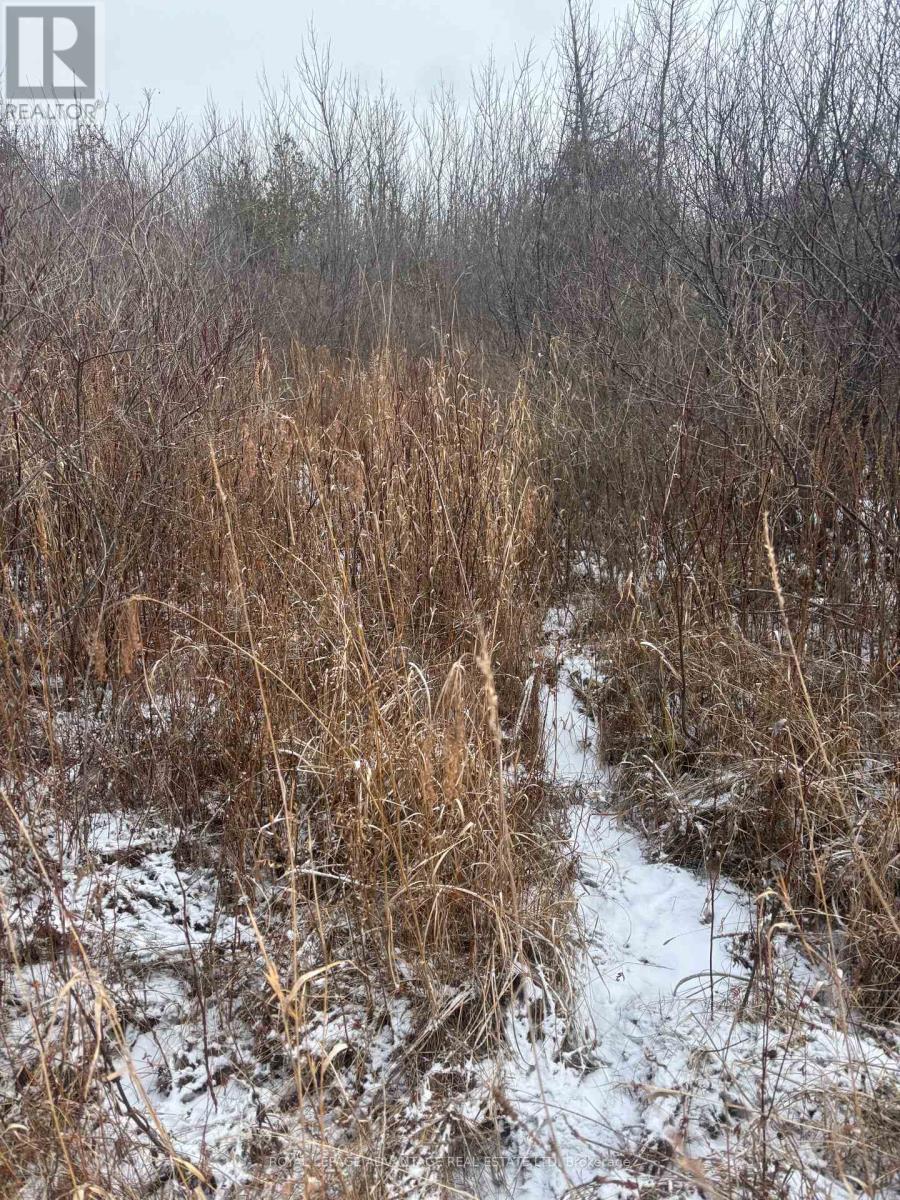 0 Wolford Centre Road, Merrickville-Wolford, Ontario  K0G 1N0 - Photo 11 - X12605320