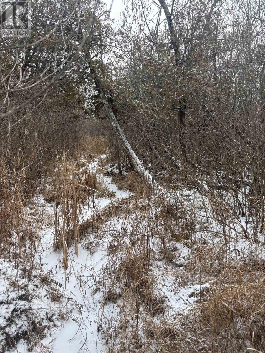 0 Wolford Centre Road, Merrickville-Wolford, Ontario  K0G 1N0 - Photo 12 - X12605320