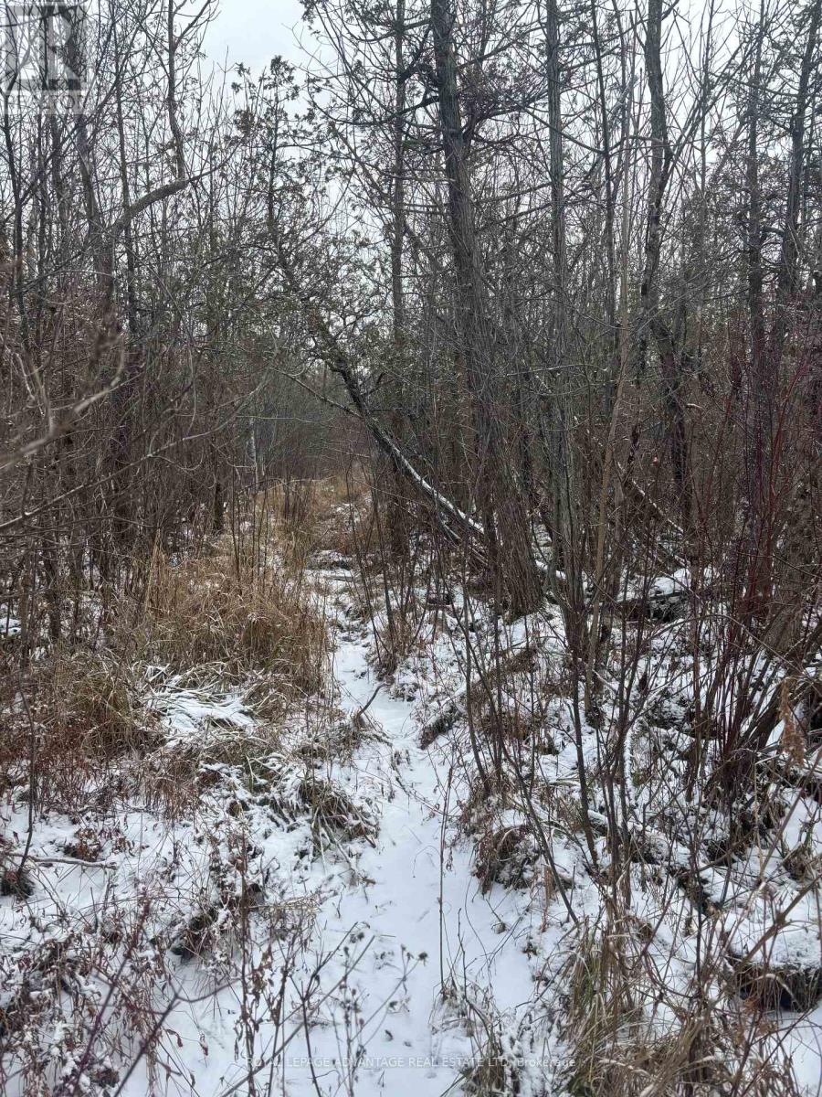 0 Wolford Centre Road, Merrickville-Wolford, Ontario  K0G 1N0 - Photo 13 - X12605320