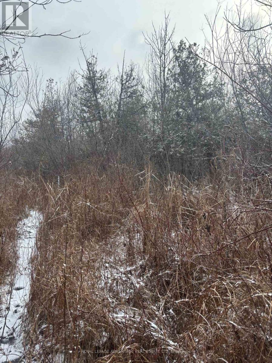 0 Wolford Centre Road, Merrickville-Wolford, Ontario  K0G 1N0 - Photo 14 - X12605320