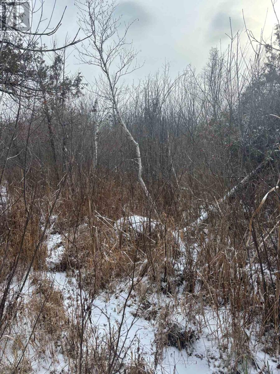 0 Wolford Centre Road, Merrickville-Wolford, Ontario  K0G 1N0 - Photo 15 - X12605320