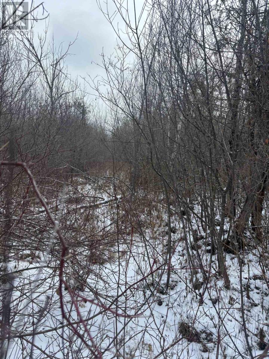 0 Wolford Centre Road, Merrickville-Wolford, Ontario  K0G 1N0 - Photo 16 - X12605320