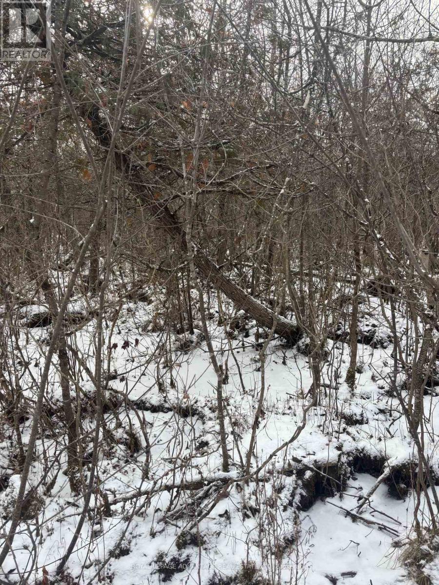 0 Wolford Centre Road, Merrickville-Wolford, Ontario  K0G 1N0 - Photo 17 - X12605320