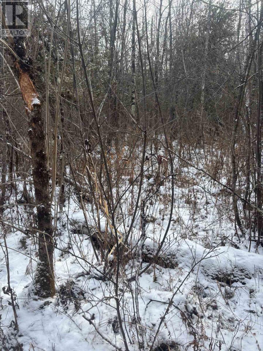 0 Wolford Centre Road, Merrickville-Wolford, Ontario  K0G 1N0 - Photo 18 - X12605320