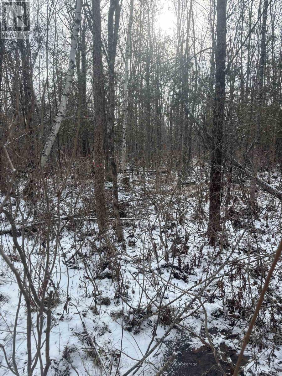 0 Wolford Centre Road, Merrickville-Wolford, Ontario  K0G 1N0 - Photo 19 - X12605320