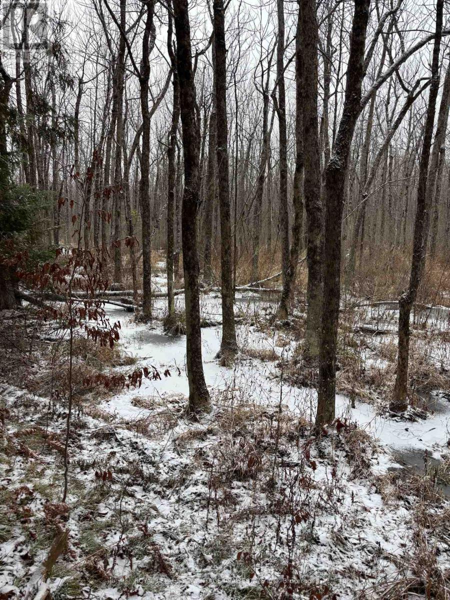 0 Wolford Centre Road, Merrickville-Wolford, Ontario  K0G 1N0 - Photo 2 - X12605320