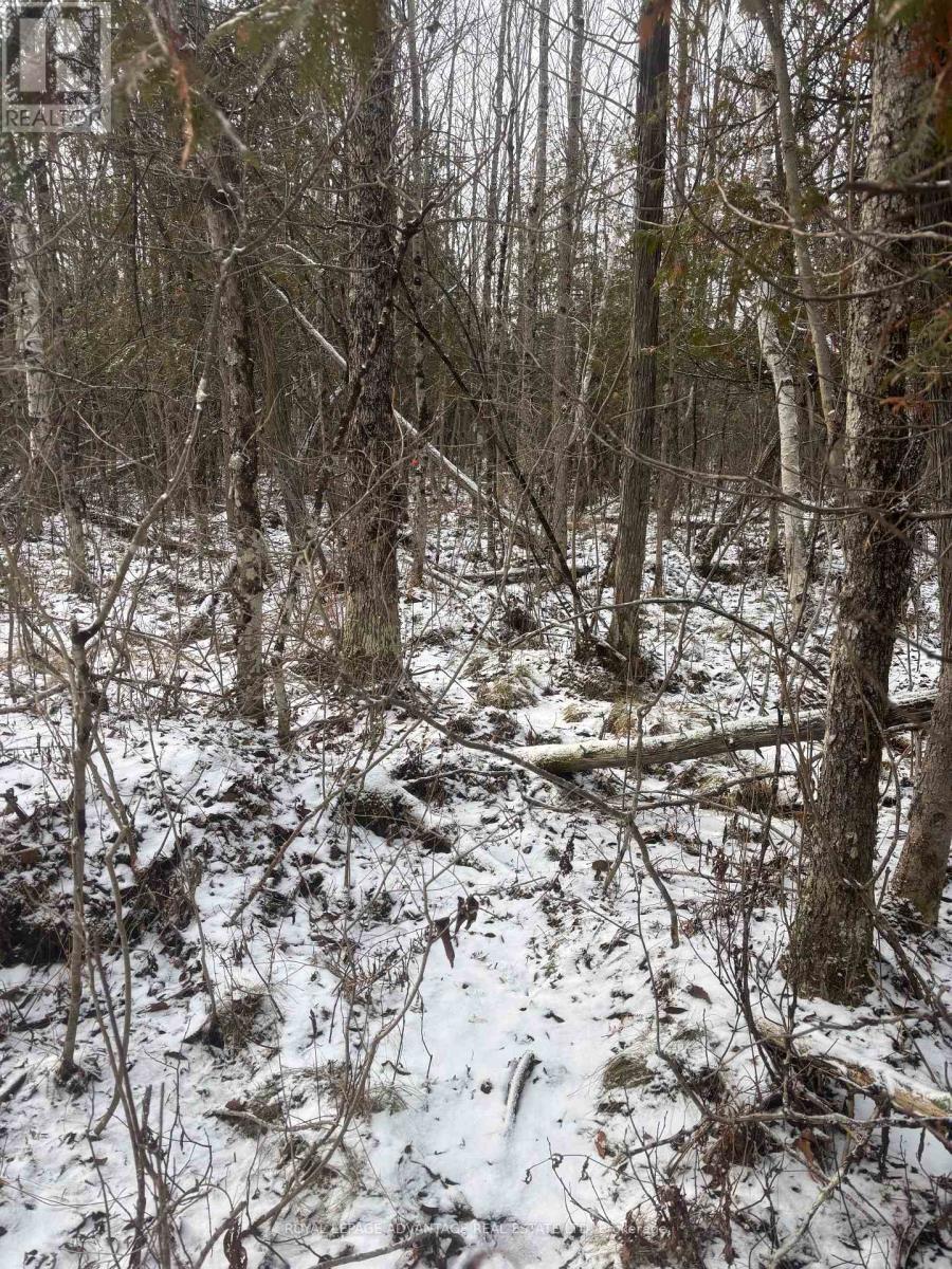 0 Wolford Centre Road, Merrickville-Wolford, Ontario  K0G 1N0 - Photo 20 - X12605320