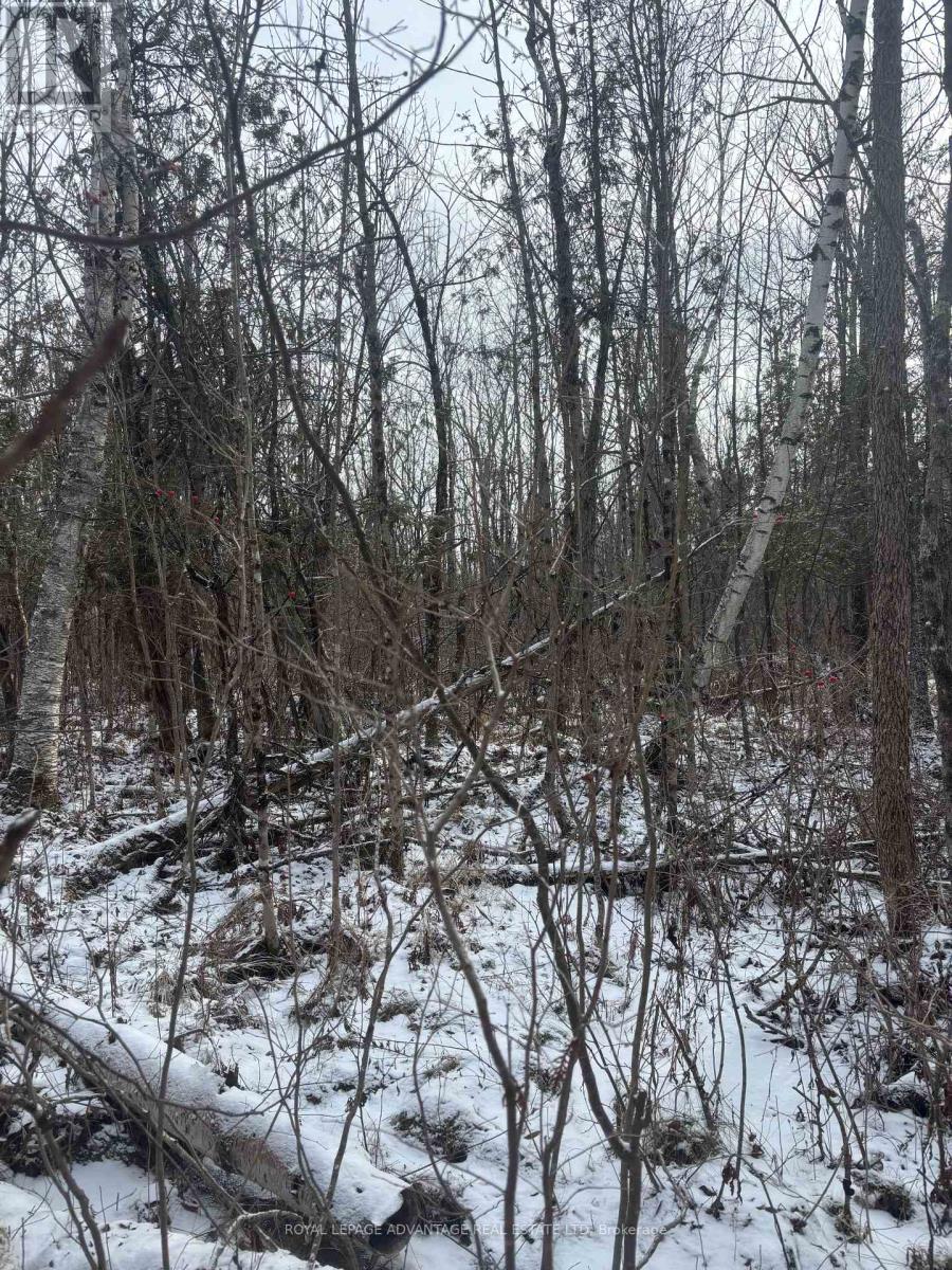 0 Wolford Centre Road, Merrickville-Wolford, Ontario  K0G 1N0 - Photo 21 - X12605320