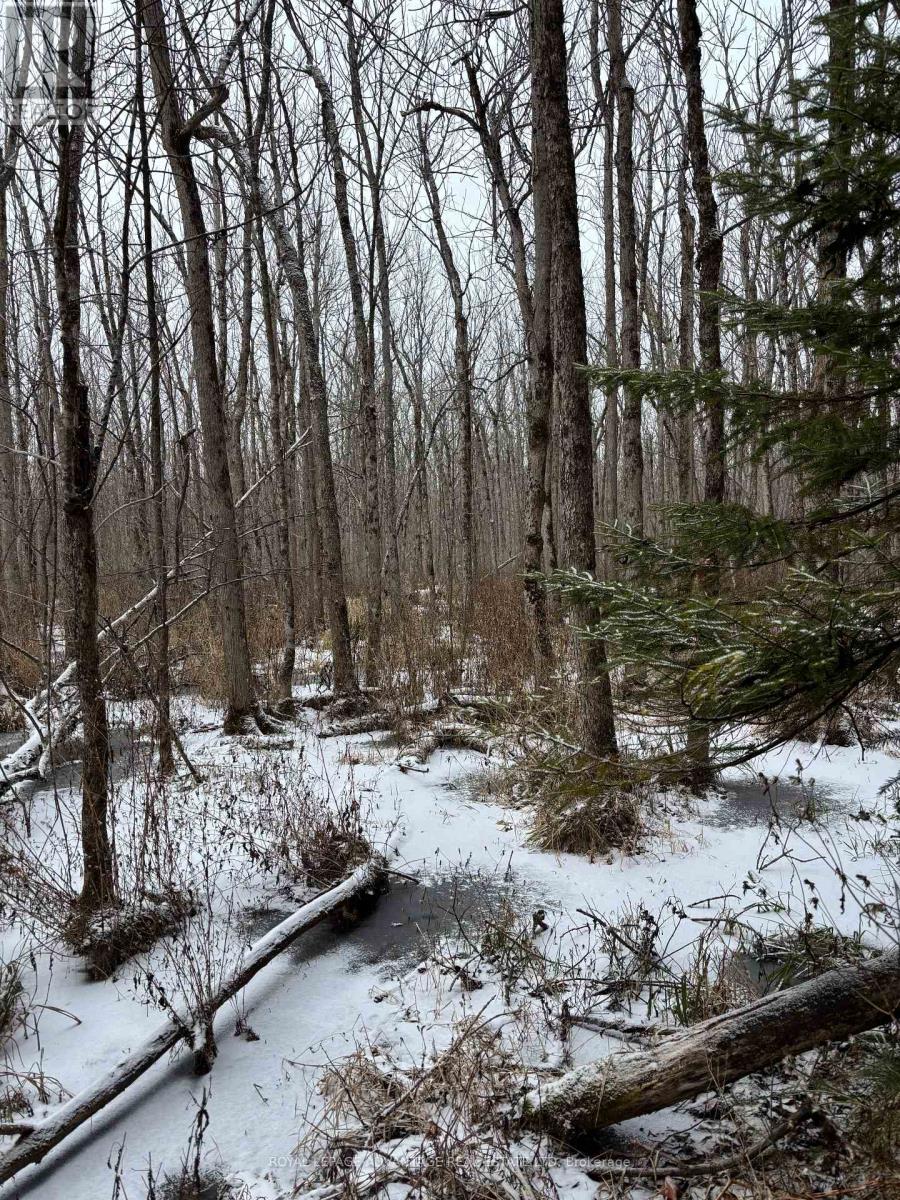 0 Wolford Centre Road, Merrickville-Wolford, Ontario  K0G 1N0 - Photo 3 - X12605320