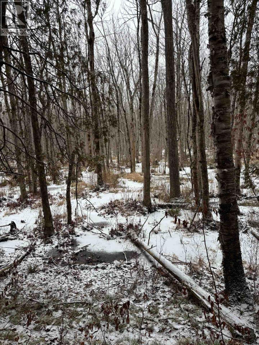 0 Wolford Centre Road, Merrickville-Wolford, Ontario  K0G 1N0 - Photo 4 - X12605320