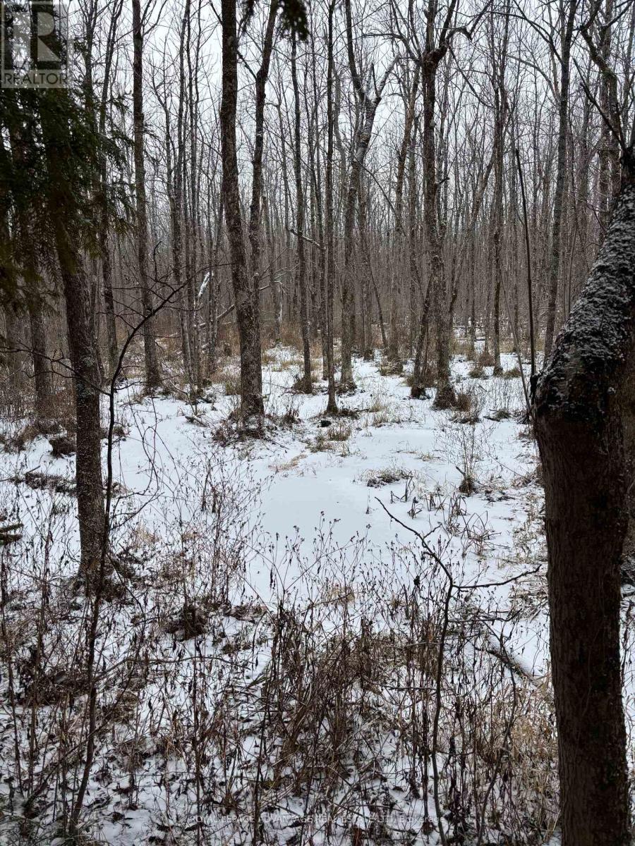 0 Wolford Centre Road, Merrickville-Wolford, Ontario  K0G 1N0 - Photo 5 - X12605320